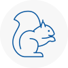 Grantham Rodent Removals