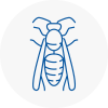 Grantham Wasp Nest Removal